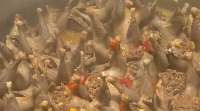 Além dos ovos: granja em SC cria codornas para consumo da carne e exporta metade da produção