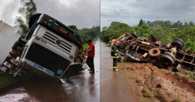 Caminhão carregado com papel higiênico tomba na BR-356, em Itabirito