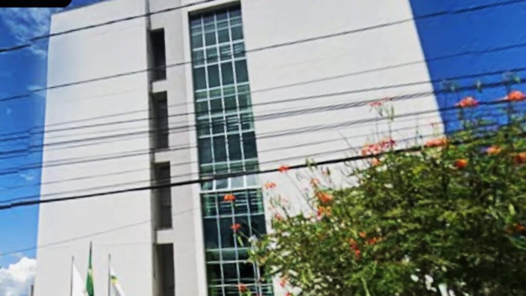 DER-MG é condenado a pagar R$ 150 mil por morte em acidente causado por árvore caída em rodovia