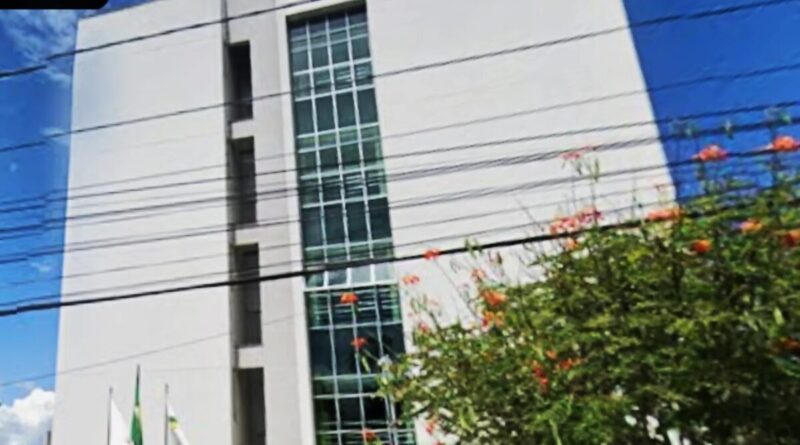 DER-MG é condenado a pagar R$ 150 mil por morte em acidente causado por árvore caída em rodovia