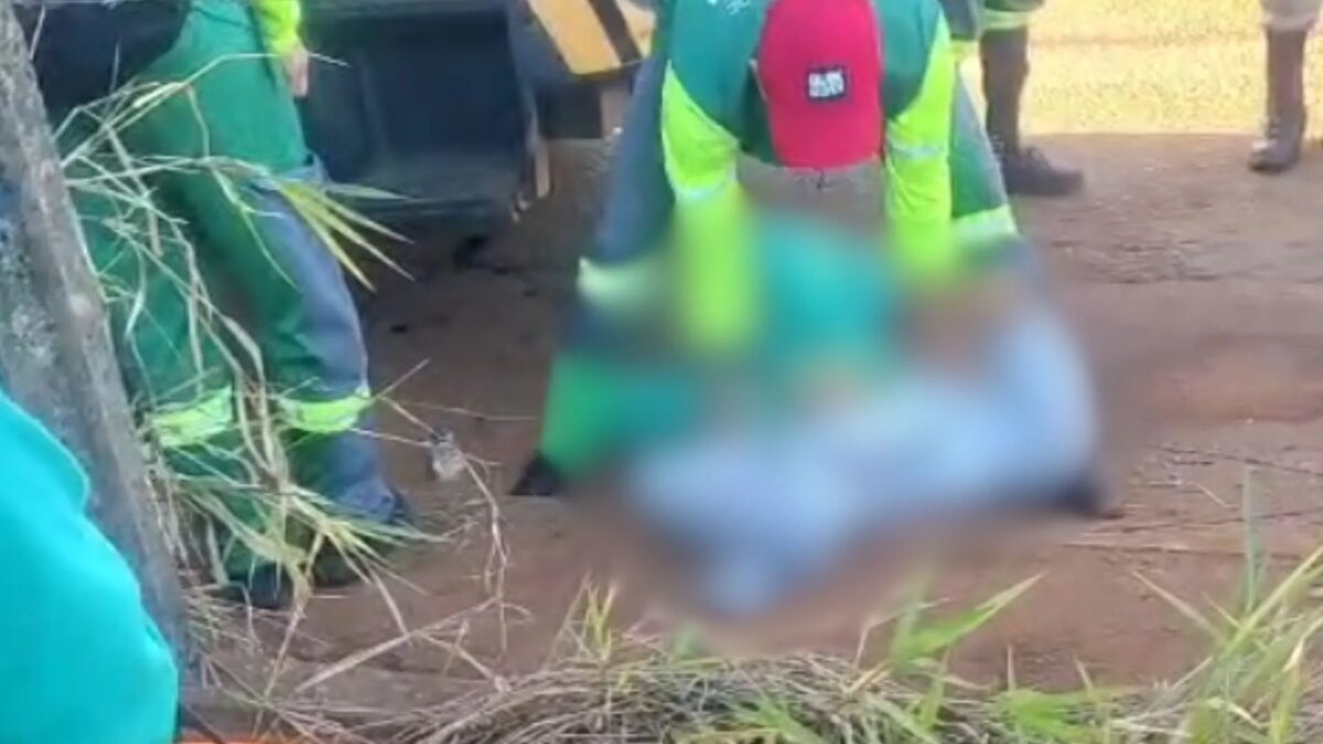 Trabalhador baleado ao cobrar dívida de colega morre em Uberaba