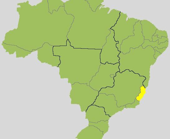 Lorenzo Pazolini x Ricardo Ferraço: acompanhe o 2º turno para governador no Espírito Santo