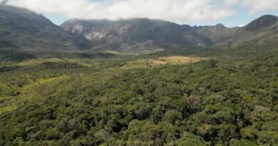 Minas Gerais tem a maior área de montanhas do Brasil, aponta novo mapa do IBGE