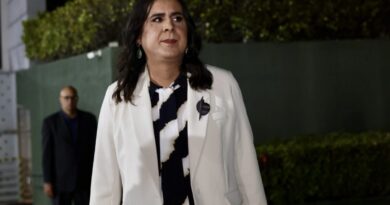 Suspeito de agredir deputada Duda Salabert durante denúncia de extração irregular de minério é preso