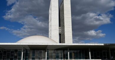Um presidente consegue governar sem maioria no Congresso?
