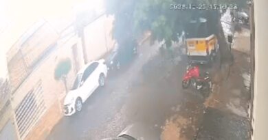Vento derruba árvore em cima de van escolar em Uberlândia
