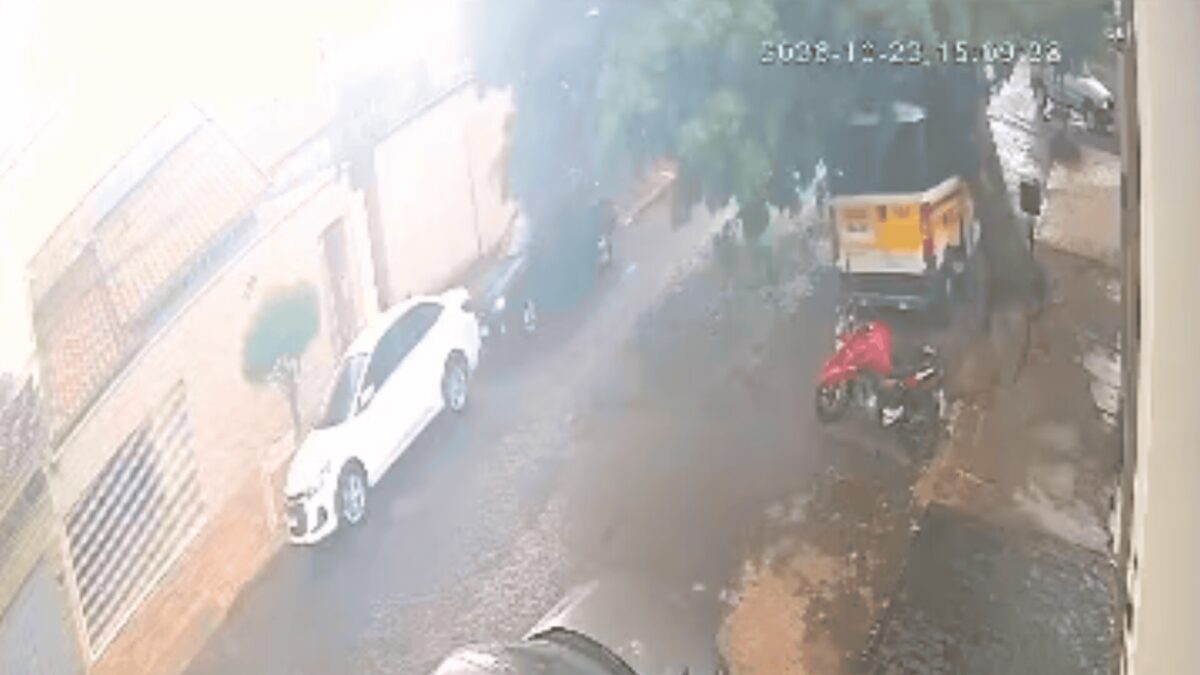 Temporal em Uberlândia derruba árvore sobre van escolar e causa estragos