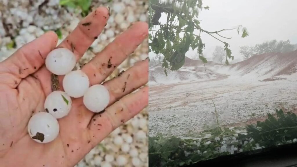 VÍDEO: Granizo transforma vegetação em 'tapete de gelo' na zona rural de MG