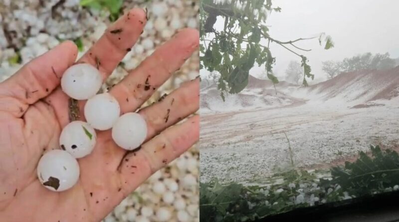 VÍDEO: Granizo transforma vegetação em 'tapete de gelo' na zona rural de MG