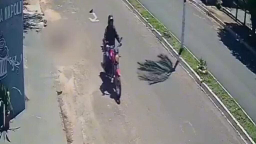VÍDEO: homem é preso em MG após matar idoso para roubar dinheiro que vítima havia conseguido para tratar esposa acamada em GO